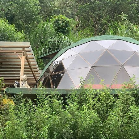 Апартаменти Magic Elf Glamping Міндо Екстер'єр фото